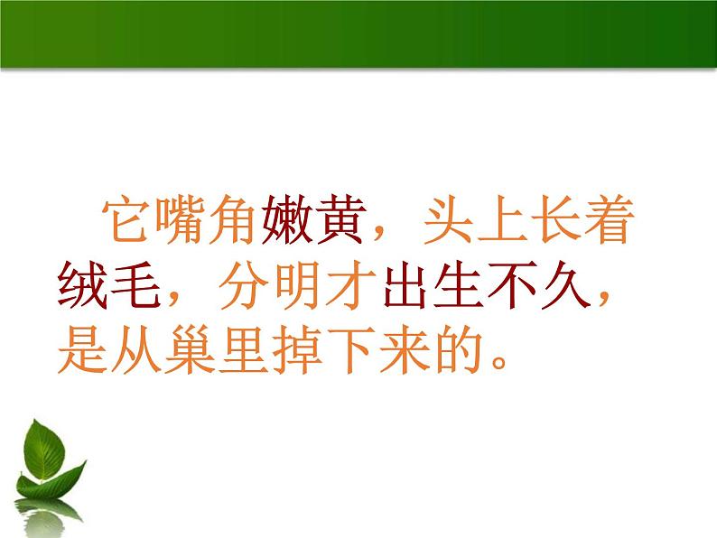 部编版四年级语文上册《麻雀》PPT优质课件 (1)06