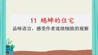 人教部编版四年级上册第三单元11 蟋蟀的住宅课文内容ppt课件