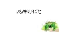 小学语文人教部编版四年级上册11 蟋蟀的住宅课文ppt课件