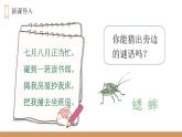 部编版四年级语文上册《蟋蟀的住宅》PPT课文课件 (6)