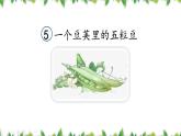 部编版四年级语文上册《一个豆荚里的五粒豆》PPT课件 (6)