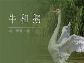 部编版四年级语文上册《牛和鹅》PPT优秀课件 (4)
