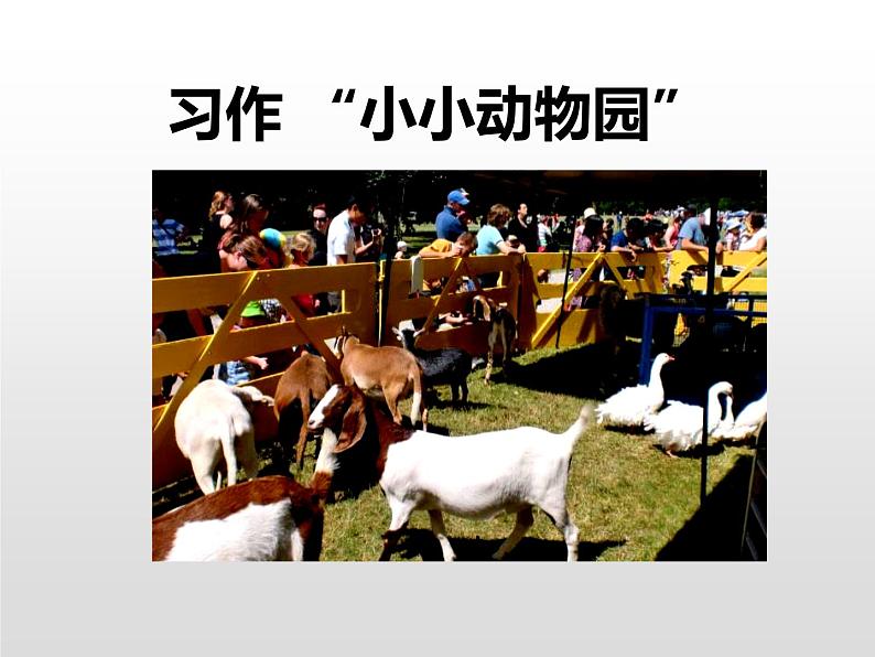 部编版四年级语文上册《小小“动物园”》PPT课件 (5)第1页