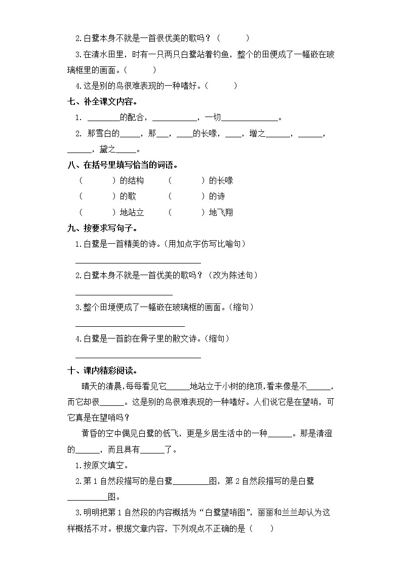 五年级上册语文同步练习-第1课 白鹭 部编版（含答案）02