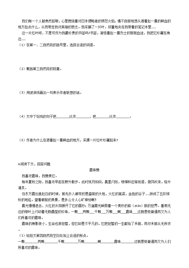 小升初语文专题练习卷：现代文阅读（十）（Word版，含答案）第3页