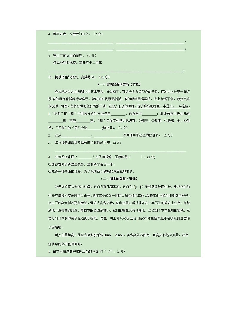 部编版小学语文三年级上册期末测试卷03