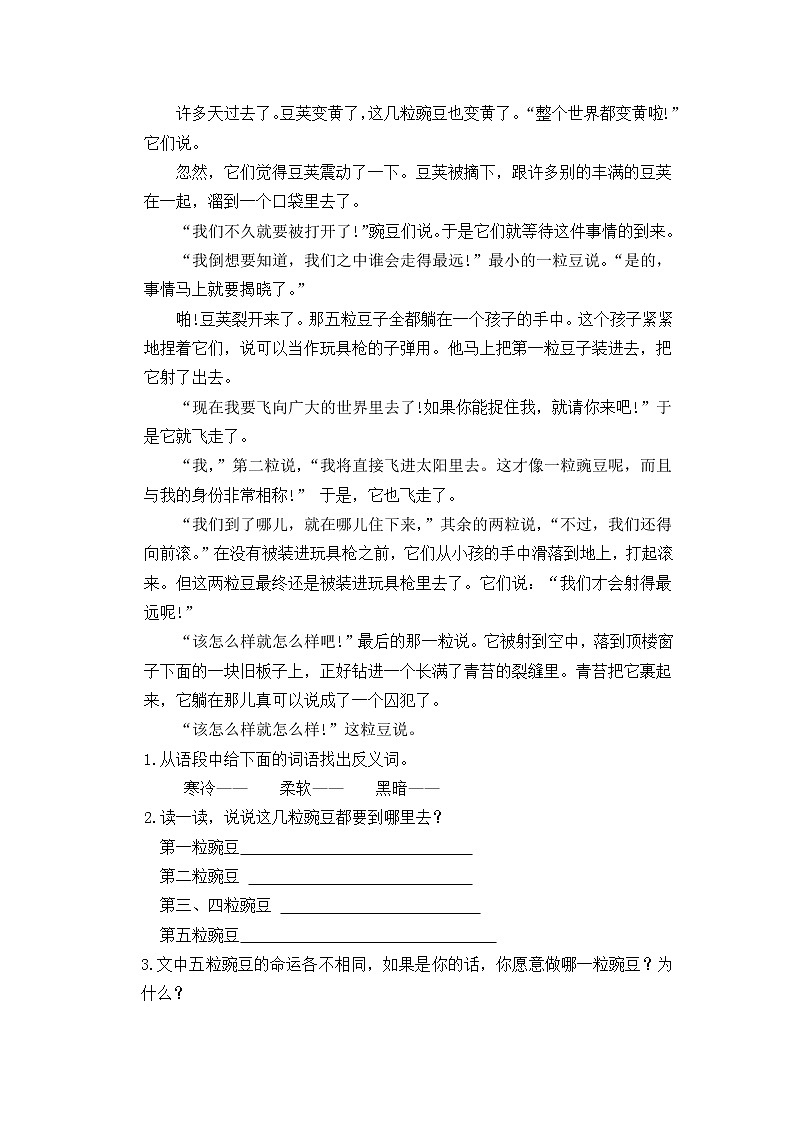 5《一个豆荚里的五粒豆》一课时课件+教案+练习02