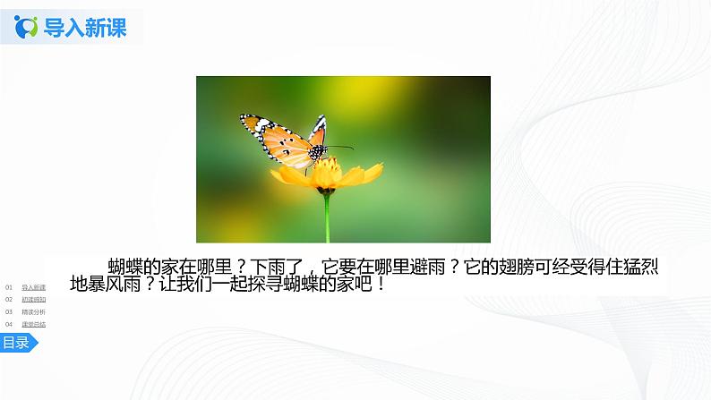 8《蝴蝶的家》一课时课件+教案+练习03