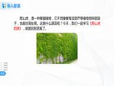 10《爬山虎的脚》第一课时课件+教案+练习