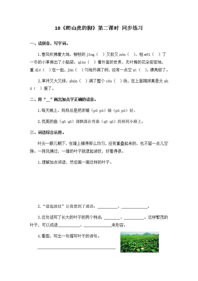 10《爬山虎的脚》第二课时课件+教案+练习01