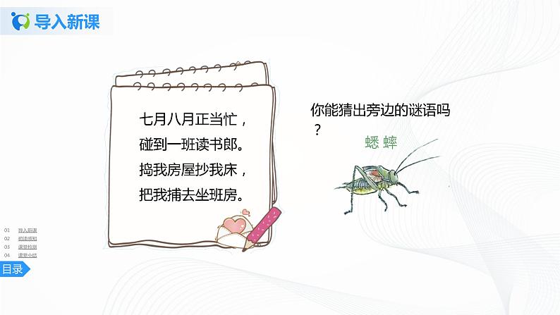 11《蟋蟀的住宅》第一课时课件第3页