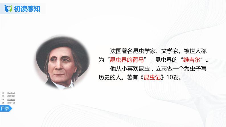 11《蟋蟀的住宅》第一课时课件第5页