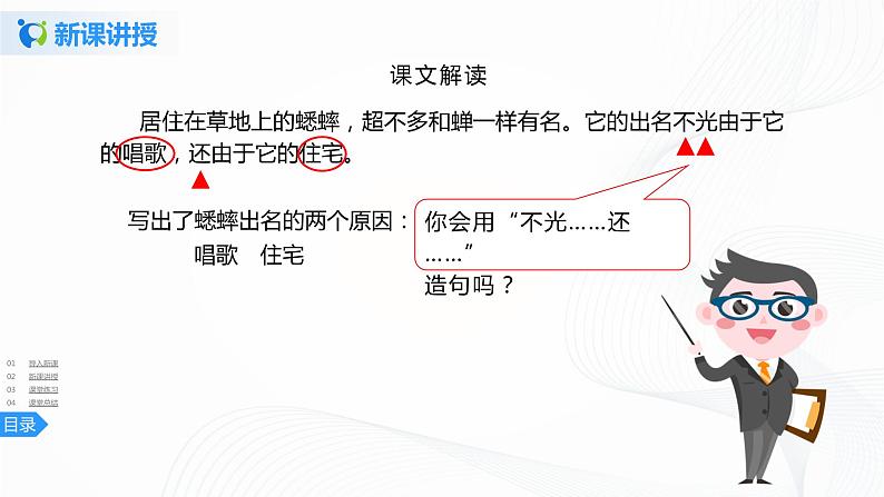 11《蟋蟀的住宅》第二课时课件+教案+练习06