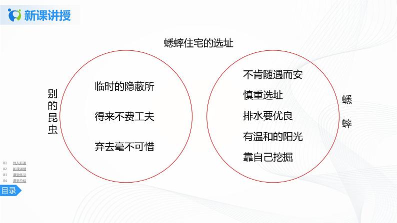 11《蟋蟀的住宅》第二课时课件+教案+练习08