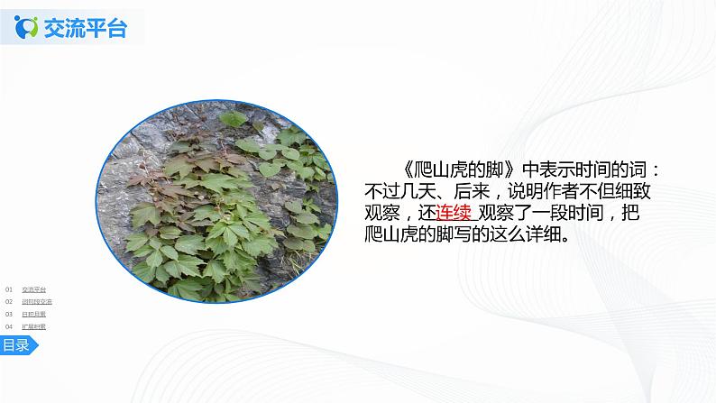 第三单元《语文园地》课件第4页