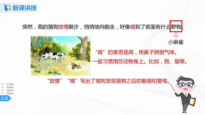 16《麻雀》第二课时课件+教案+练习07