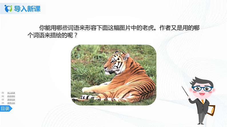 19《一只窝囊的大老虎》第一课时课件第3页