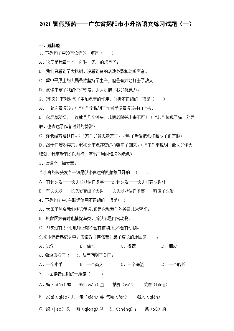 2021暑假预热——广东省揭阳市小升初语文练习试题（一）第1页