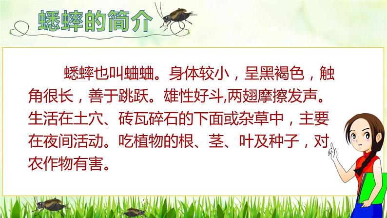 部编版四年级语文上册《蟋蟀的住宅》PPT课文课件 (2)第4页