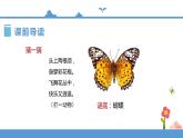 人教部编版四年级上册语文-8.蝴蝶的家  精品课件、精品教案和课堂达标