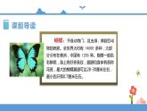 人教部编版四年级上册语文-8.蝴蝶的家  精品课件、精品教案和课堂达标
