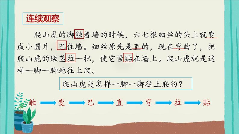 部编版语文四年级上册第3单元10爬山虎的脚课件PPT第5页