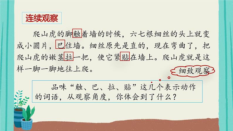 部编版语文四年级上册第3单元10爬山虎的脚课件PPT第7页