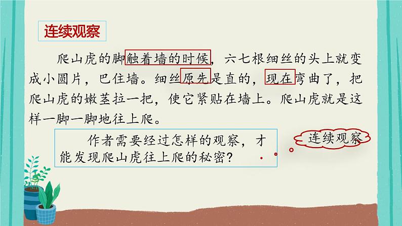 部编版语文四年级上册第3单元10爬山虎的脚课件PPT第8页