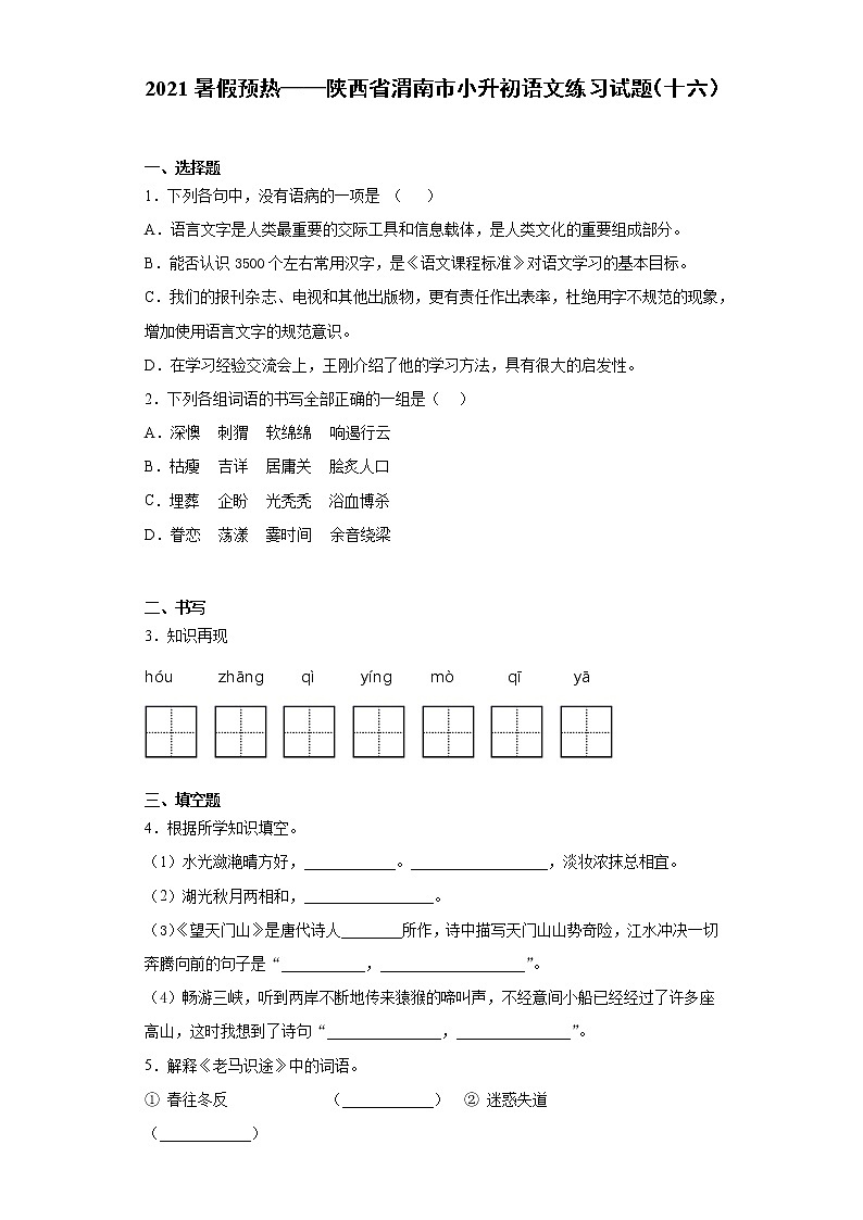2021暑假预热——陕西省渭南市小升初语文练习试题（十六）01
