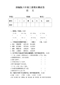 部编版六年级语文上册期末测试卷及答案