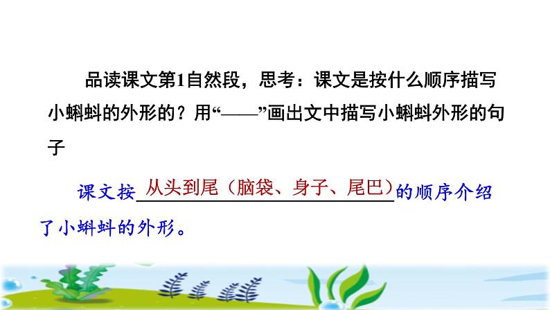 人教部编版二年级语文上册 第一单元 小蝌蚪找妈妈第二课时课件PPT第4页