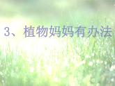 人教部编版二年级语文上册 第一单元 植物妈妈有办法课件