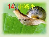 部编版一年级语文上册第八单元《小蜗牛》第二课时 课件