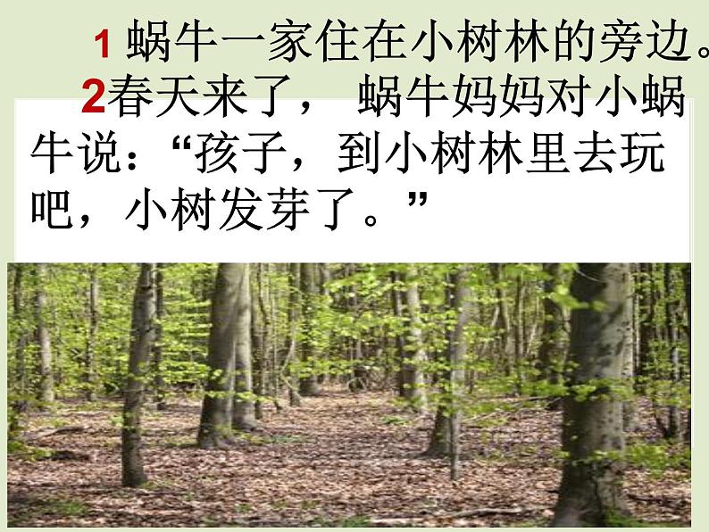 部编版一年级语文上册第八单元《小蜗牛》第二课时 课件第8页