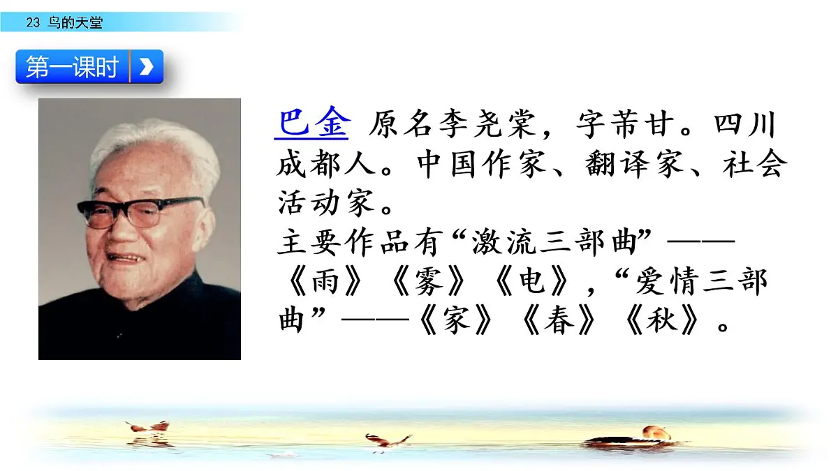 部编版五年级语文 上册 23 课鸟的天堂课件PPT第4页