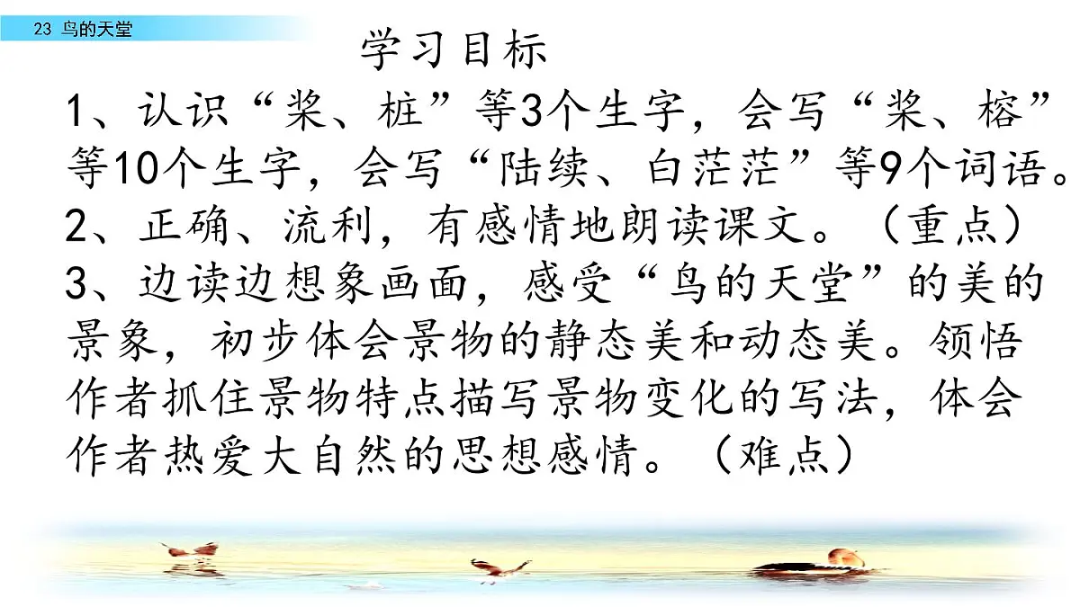 部编版五年级语文 上册 23 课鸟的天堂课件PPT第5页