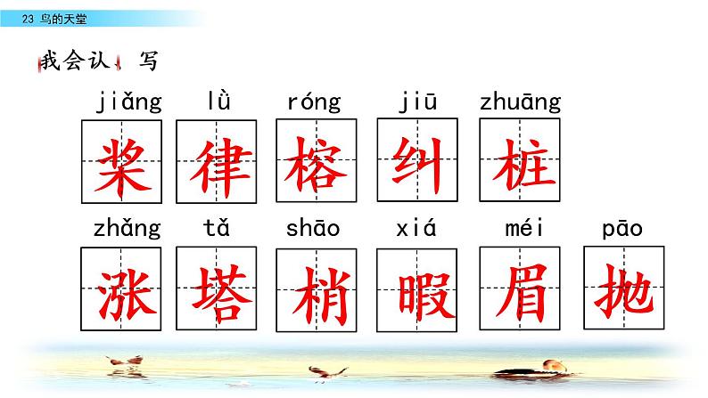 部编版五年级语文 上册  23 课鸟的天堂课件PPT第7页