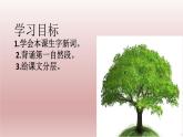 部编版六年级语文上册  24少年闰土课件PPT