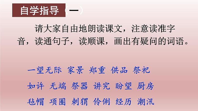 部编版六年级语文上册  24少年闰土课件PPT第5页