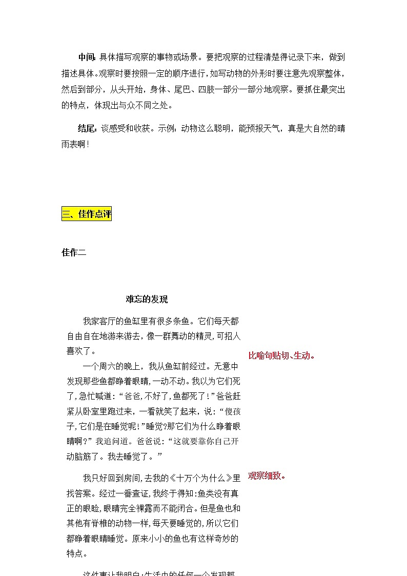 统编版三年级上册第五单元《我们眼中的缤纷世界》习作名师指导和佳作点评（10篇）学案02