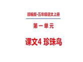 五年级上册第一单元 课文4 珍珠鸟课件PPT