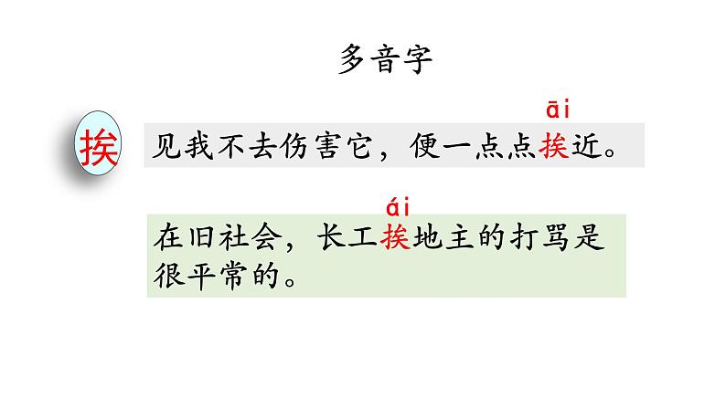 五年级上册第一单元 课文4 珍珠鸟课件PPT08