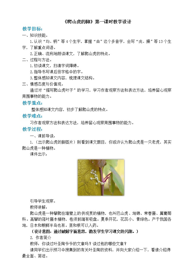 人教部编版四年级上册语文-10爬山虎的脚  精品课件、精品教案和课堂达标01