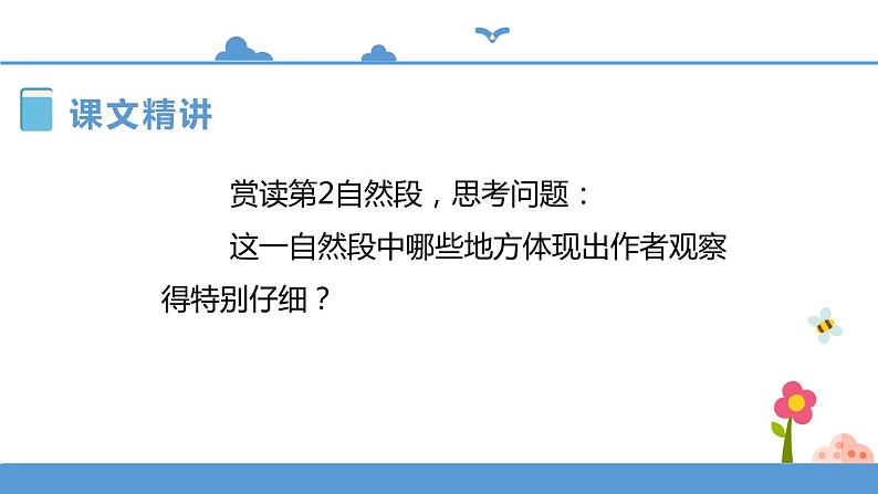 人教部编版四年级上册语文-10爬山虎的脚  精品课件、精品教案和课堂达标04