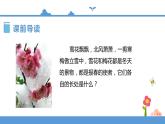 人教部編版四年級上冊語文-9.古詩三首  精品課件、精品教案和課堂達標
