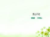 人教部编版六年级上册语文 19《青山不老》教案课件及课堂达标