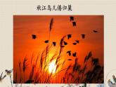 人教部编版四年级上册语文 现代诗二首《秋晚的江上》课件