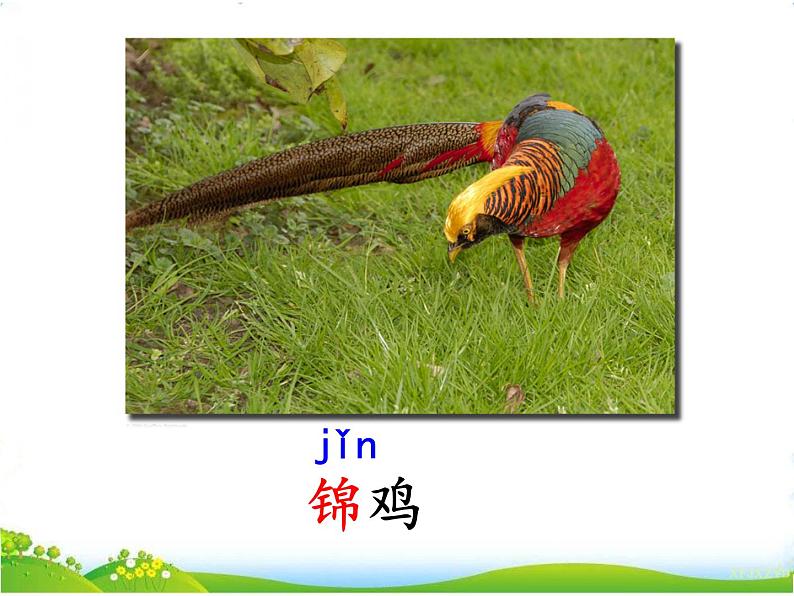 人教部编版语文二年级上册识字3《拍手歌》课件+素材06