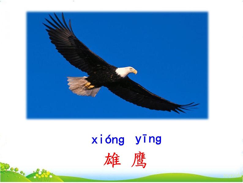 人教部编版语文二年级上册识字3《拍手歌》课件+素材07