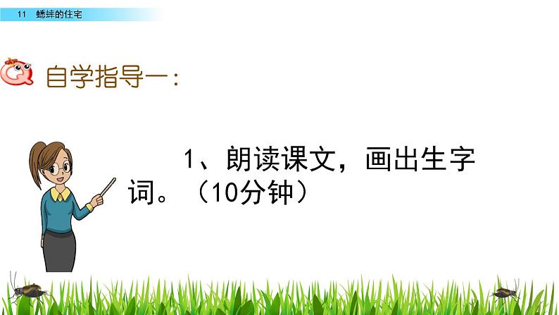 部编版四年级语文上册      11 蟋蟀的住宅课件PPT第5页